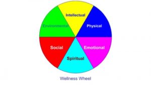 optimal health, personal training, Winchmore Hill